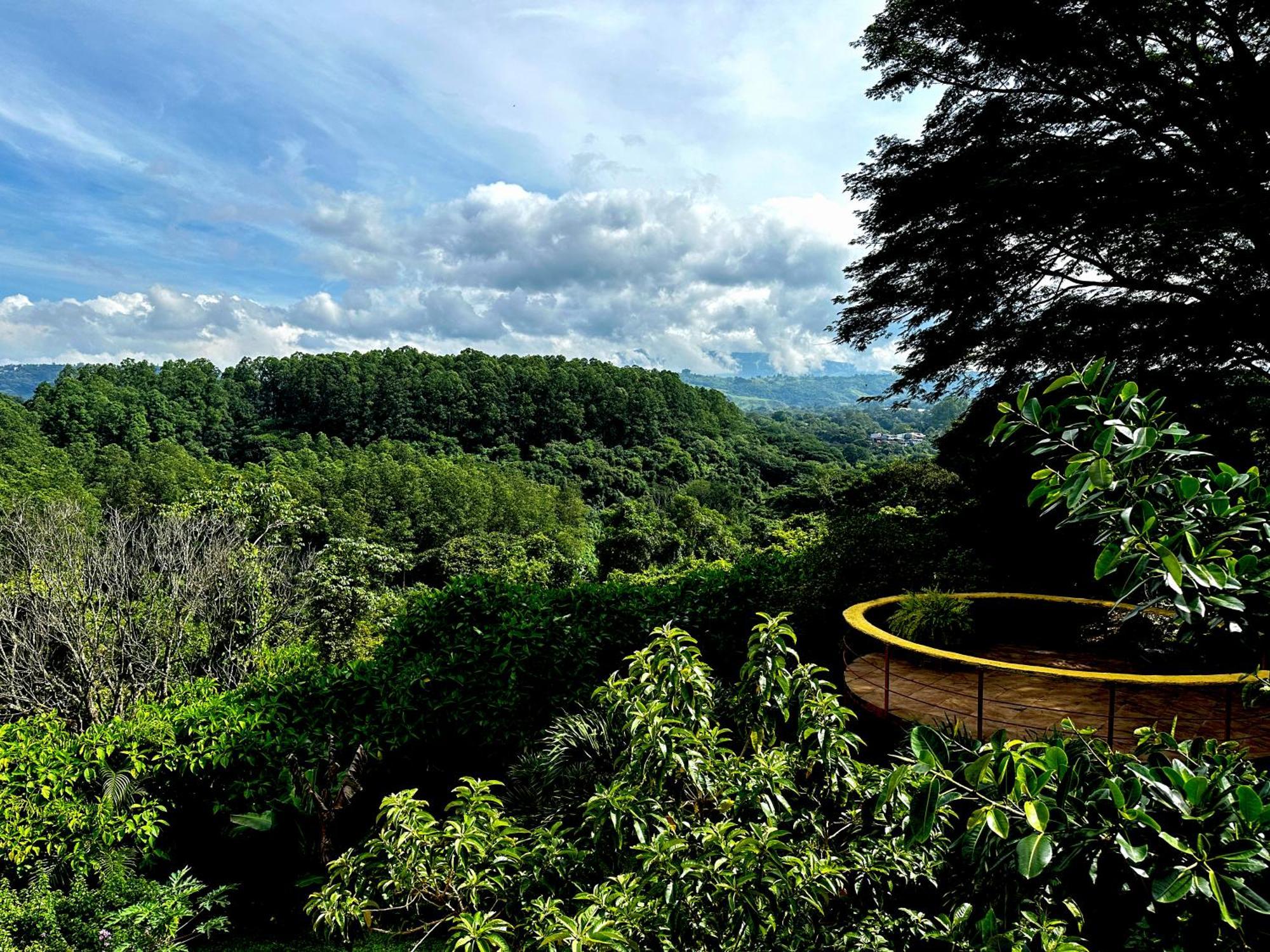 Vista Linda Montaña Tambor (Alajuela)